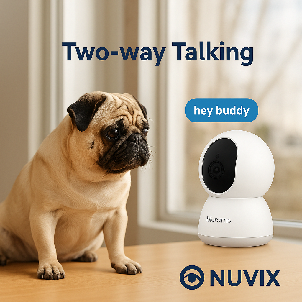 Blurams Indoor A31S Security Camera 2K